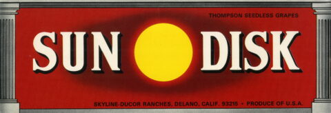 Sun Disk